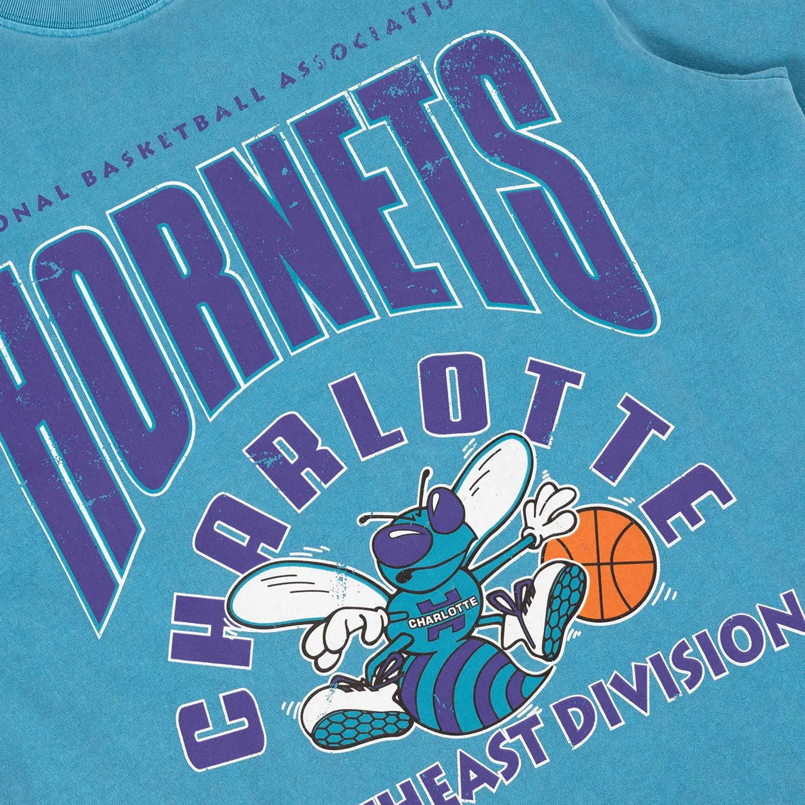 Charlotte Hornets Division Arch Vintage Tee - Faded Teal