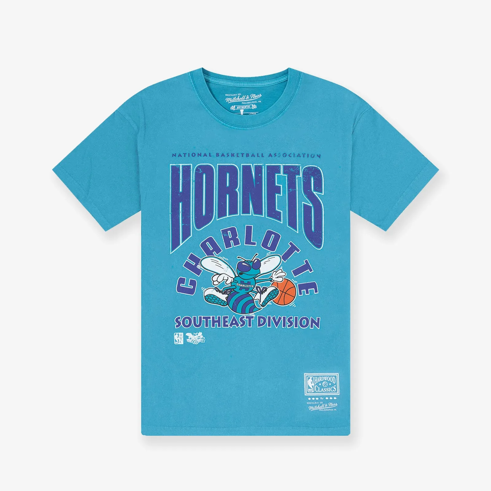 Charlotte Hornets Division Arch Vintage Tee - Faded Teal