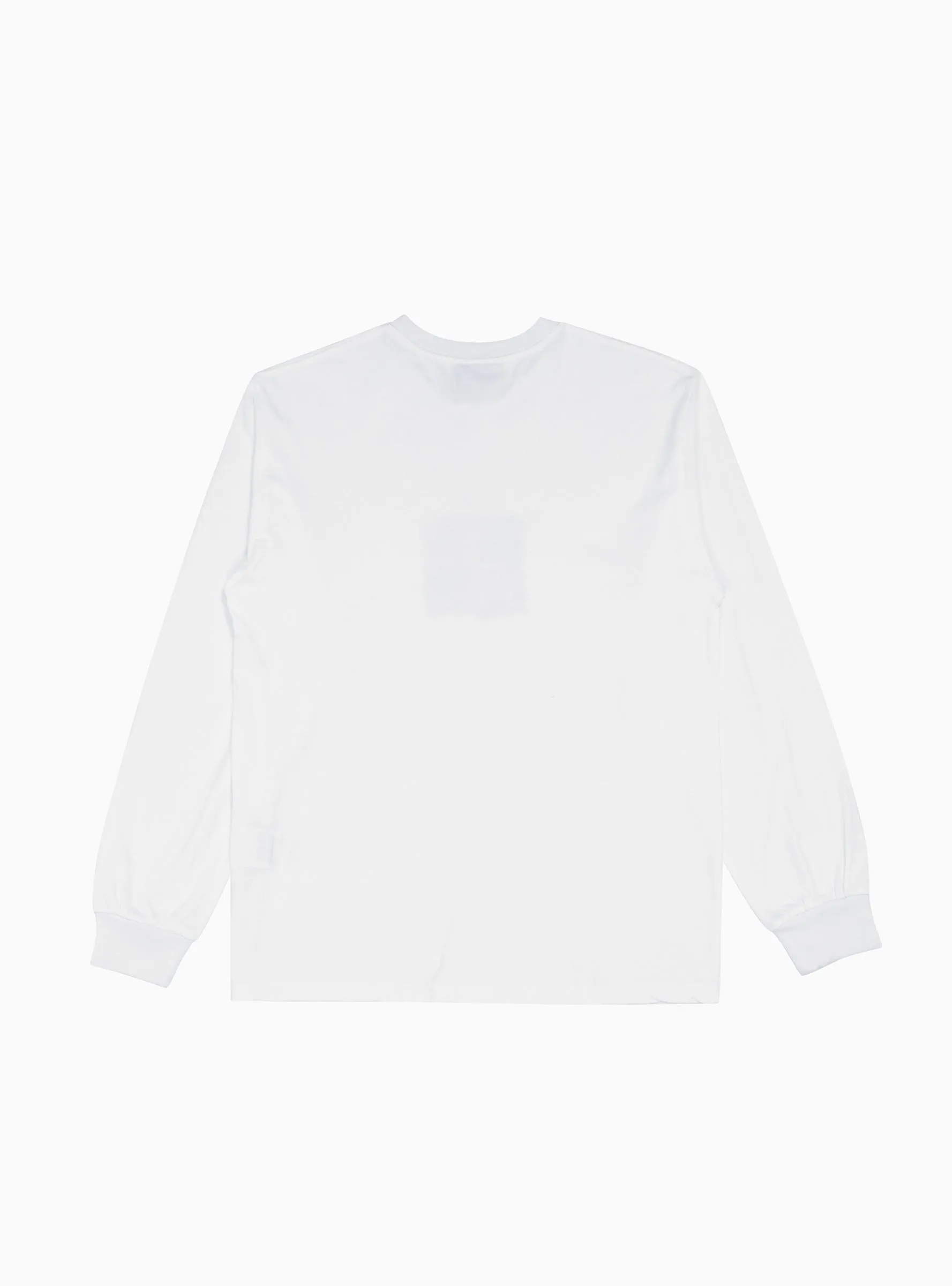 Painted TSNT LS T-shirt White