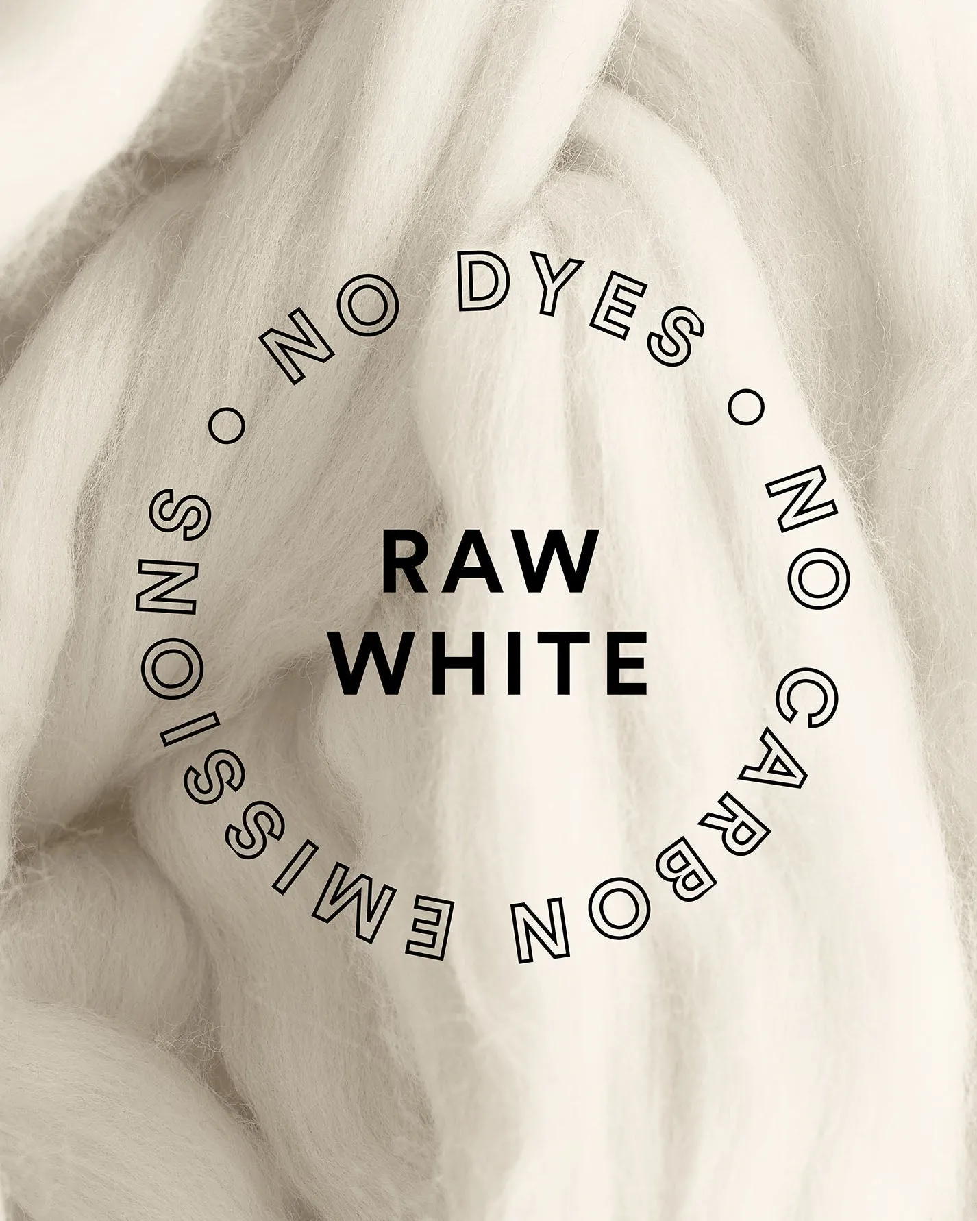 The T-Shirt - Raw White